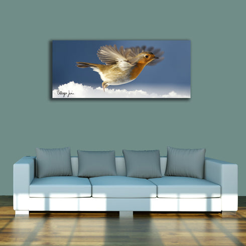 PANORAMIC - BOBBIN TAKE OFF - 1.2m x 50cm